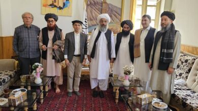 تصویر معاون شرکت ۷۷ ترکی به منظور تولید برق بادی با والی هرات دیدار کرد