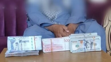 تصویر وزارت داخله از بازداشت یک به اتهام قاچاق پول خبر داد