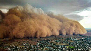 İran ile Türkmenistan, toz ve kum fırtınalarına karşı mücadelede işbirliği yapacak fotoğrafı
