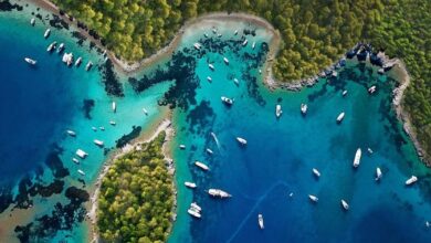 Turkaegean’ın sörf rotalarında adrenalin yüklü maceralar sizi bekliyor fotoğrafı