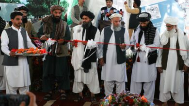 تصویر کار بازسازی پارک شهر نو آغاز شد