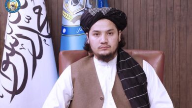 تصویر وزارت داخله از بازداشت ۲۳ تن در پیوند به جرایم مختلف خبر داد