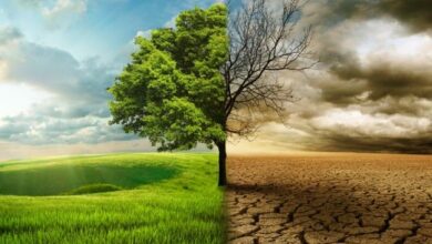 Türkmenistan iklim değişikliği alanda uluslararası girişimler başlattı fotoğrafı