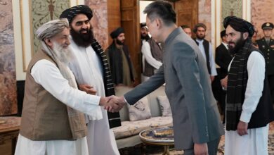 Photo of The prime minister of Taliban welcomed the new Chinese ambassador