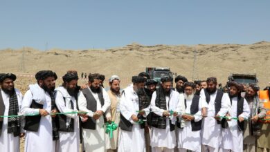 تصویر پروژه تولید ۱۰ میگاوات برق آفتابی در نغلو افتتاح شد