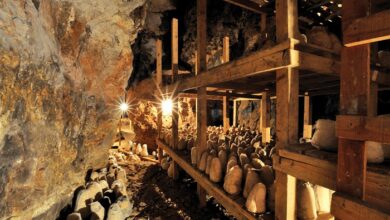 Photo of Türkiye’s rich cheese culture captivates visitors