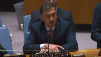 تصویر فایق: برخی کشورها در برابر افغانستان از سیاست دوگانه کار میگیرند