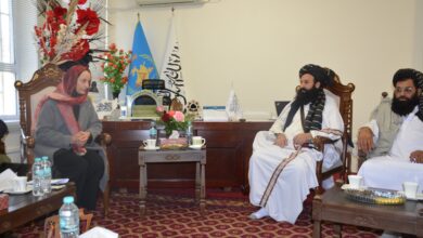 Göçmen İşleri Bakan Vekili Avrupa Birliği yardım yetkilisiyle görüştü fotoğrafı