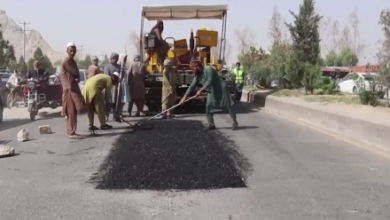 Güney illerinde 600 milyon dolarlık kalkınma projeleri sürüyor fotoğrafı
