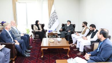 تصویر ستانکزی در دیدار با هیات سازمان ملل خواستار ادامه کمک‌های این سازمان به افغانستان شد