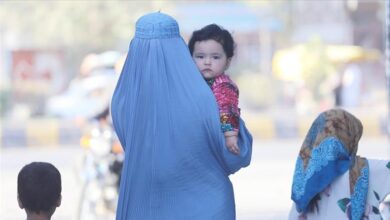 تصویر برنامه جهانی غذا: زنان بیشترین هزنیه را برای کاهش کمک‌ها در افغانستان میپردازند