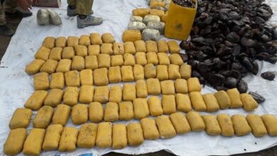 Photo of 28 people were arrested in connection with drug trafficking