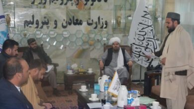 Photo of The Ministry of Mines and Petroleum offered to re-deposit Jagdlak ruby ​​mine worth 27.5 million dollars Ministry of Mines and Petroleum