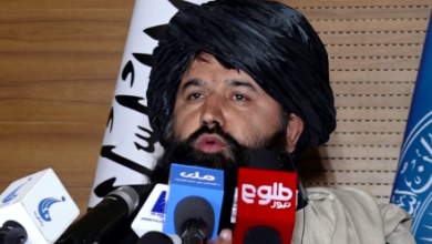 Photo of Criticism of Nada Mohammad Nadim, Acting Minister of Education
