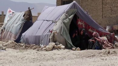 تصویر سویس ۱.۷ میلیون دالر به صندوق بشردوستانه افغانستان کمک کرده است