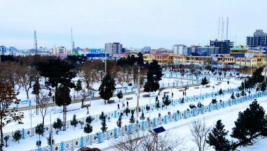 Belh vilayetinde soğuk hava nedeniyle 4 bin hayvan telef oldu fotoğrafı