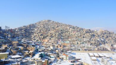 تصویر کاهش ۸۱ درصدی مرگ‌های ناشی از هراس‌افگنی در کشور