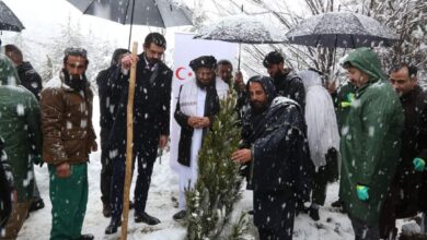 TİKA’dan Afgan-Türk Dostluğunun 103. Yıl dönümünde 103 fidan dikimi fotoğrafı