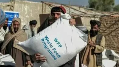 تصویر اتحادیه اروپا بیش از ۲۰ میلیون یورو به افغانستان کمک کرد