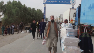 تصویر مسوولان در نیمروز: حدود ۱۲۰هزار مهاجر از ایران برگشت داده شدند