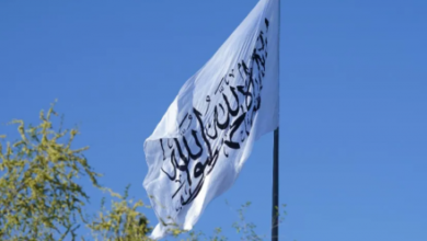 تصویر ا.ا: کشورها از ابراز نظر درباره “اجرای حدود” خودداری کنند