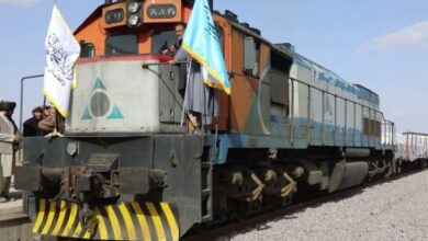 تصویر توقف یک قطار ترانزیتی مربوط به افغانستان در ایران و ترکیه