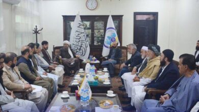 تصویر دیدار سرپرست وزارت معادن و پترولیم با مقام‌های افغان مقیم  اروپا