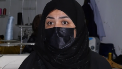 تصویر توزیع جواز فعالیت برای نزدیک به ۳۰هزار زن