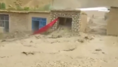 Photo of The powerful floods of Farah and Ghor took the lives of 14 people