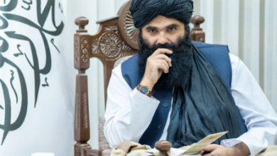 تصویر گفت‌وگوی رافایلا ایودیس و سرپرست وزارت داخله درباره صلح در افغانستان