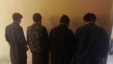 تصویر ۴ تن در پیوند به جرایم مختلف در نیمروز بازداشت شدند