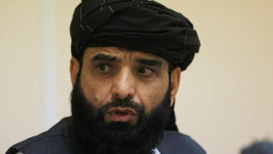 Photo of Suhail Shaheen Hails Nationwide Peace as ‘Great Blessing’ for Afghanistan