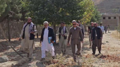 Photo of UN Efforts to Provide Alternative Crops to Afghan Farmers