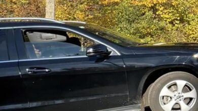 تصویر ترورچی فت الله گۆلن آمریکادا اؤلدی