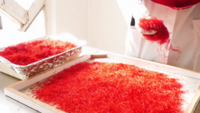 Photo of Value of Saffron, Heng Exports Approaches $80M in 6 Months