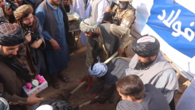 Photo of Construction of Steel Mill Begins in Balkh