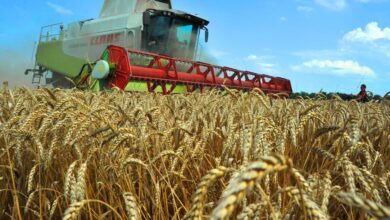 Photo of Kazakhstan: Wheat exports experience a big dip