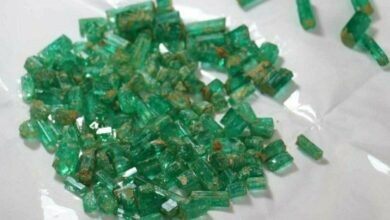 Photo of Panjshir emeralds worth more than 1.6 million dollars have been sold this year