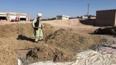 تصویر یوناما خواستار پشتیبانی بین‌المللی برای کاهش خطرهای طبیعی در افغانستان شد