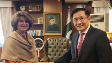 Photo of China, Pakistan Discuss Collaborating to Foster Peace in Afghanistan