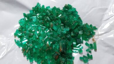 Photo of Domestic merchants bought more than 5 thousand carats of emeralds