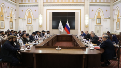 Photo of Shoigu: Expanded Cooperation Between Russia and Islamic Emirate Discussed