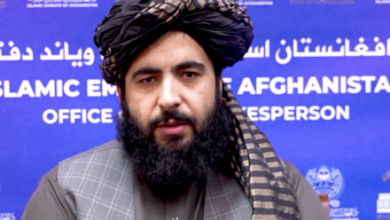 Photo of Islamic Emirate: Pakistan Should Find Internal Solutions for Its Problems