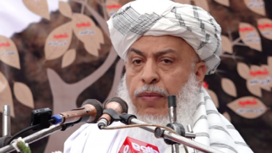 Photo of Stanikzai: Islamic Emirate Achieved Progress Despite Opposition