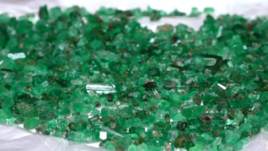 Photo of 40,000 Carats of Emeralds Sold in 12 Auctions Over Eight Months