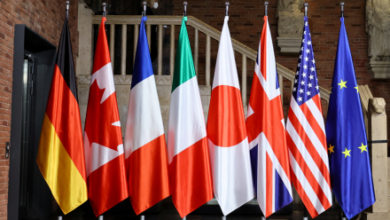 Photo of G7+ Countries Concerned Over Ban on Medical Studies in Afghanistan