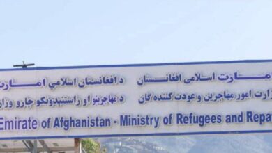 تصویر بازداشت ۸۰۰ مهاجر افغان به اتهام شرکت در تظاهرات حزب تحریک انصاف در پاکستان 
