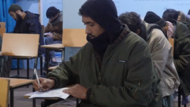 تصویر لغو جواز فعالیت ۱۱ نهاد تحصیلی خصوصی از سوی وزارت تحصیلات عالی