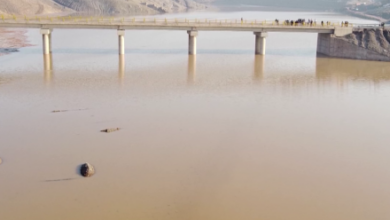 Photo of After 40 Years, Water Being Stored at Pashdan Dam in Herat