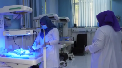 Photo of UN Experts Warn Medical Education Ban Risks Lives of Afghan Women